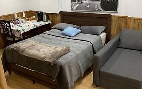 Big Oasis Studio Near Airport Yyz